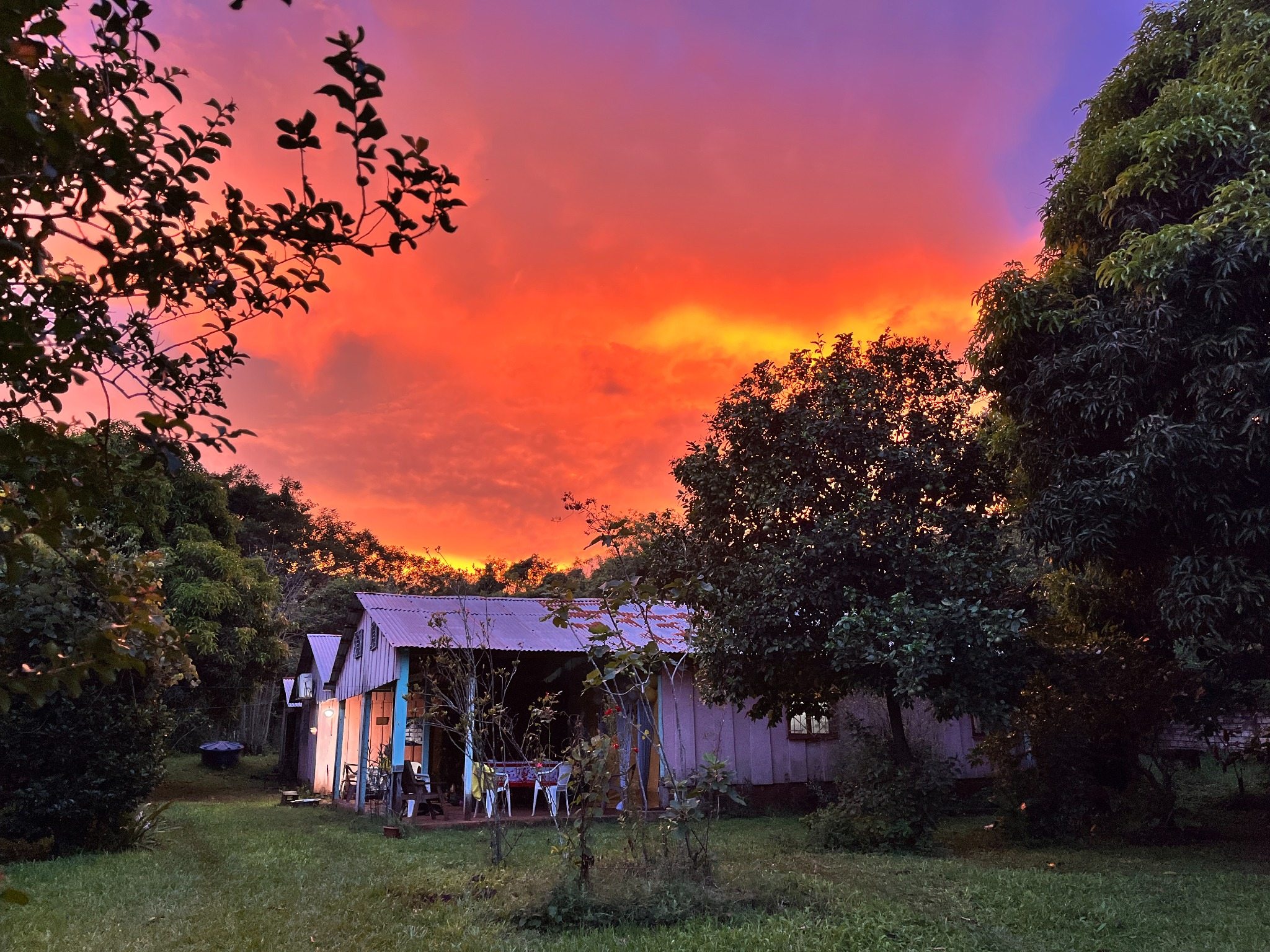 Mi casa en Paraguay, rodeada de vegetación